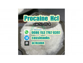 Procaine hydrochloride cas 51–05–8 Bulk Supply