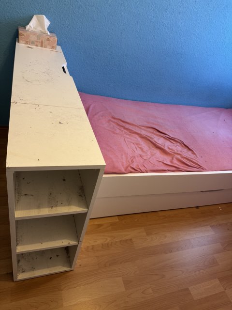 Bett mit Bettkasten und Gästebett