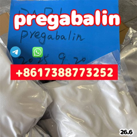 Purity  powder 99% pregabalin crystals powder 148553-50-8 Salt with Best Price